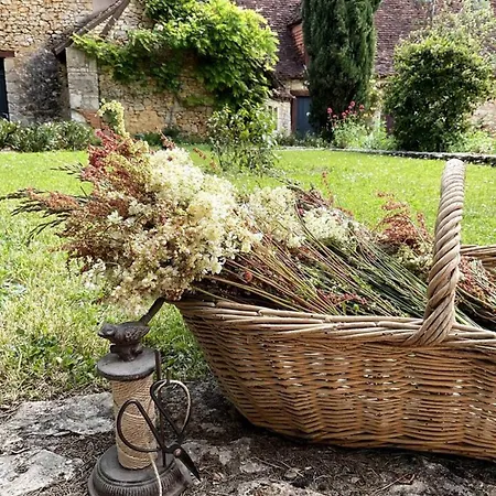 Domaine De Pragelier, Petronille B&B Tourtoirac