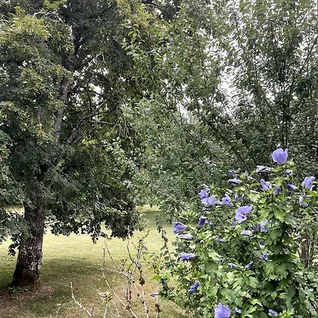 Domaine De Pragelier, Petronille